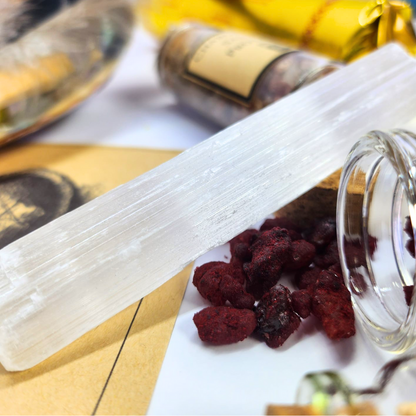 Luxury Sanctuary Crushed Sage Smudging Gift - Abalone Shell, Palo Santo, Feather