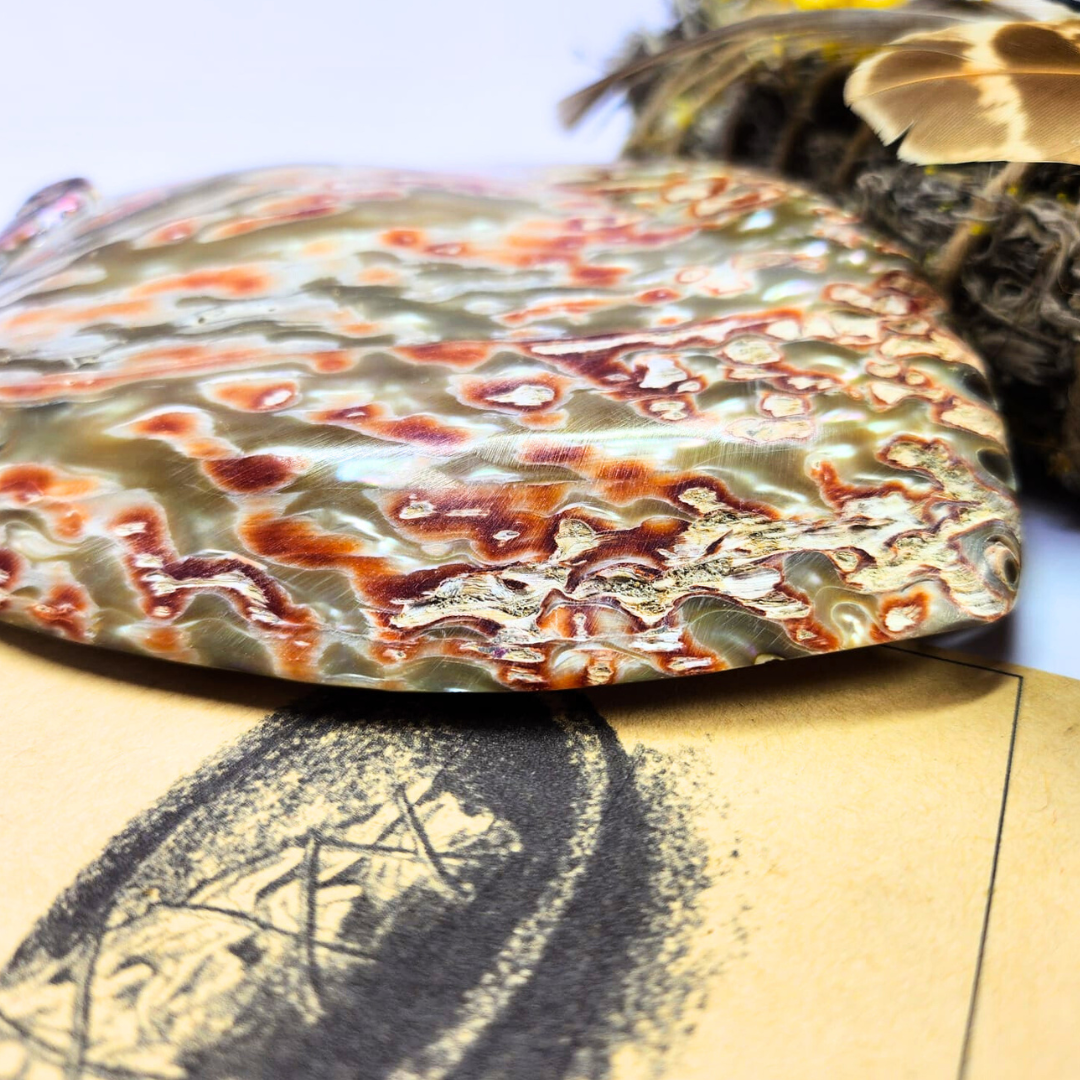 Luxury Sanctuary Crushed Sage Smudging Gift - Abalone Shell, Palo Santo, Feather